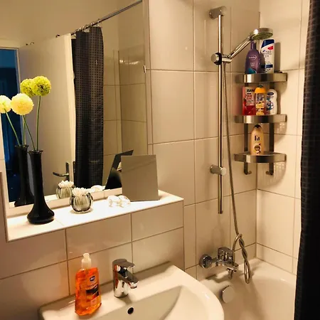 Homely Near Exhibition Center Apartment